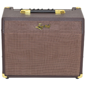 EVER PLAY 25C - Acoustic Amp